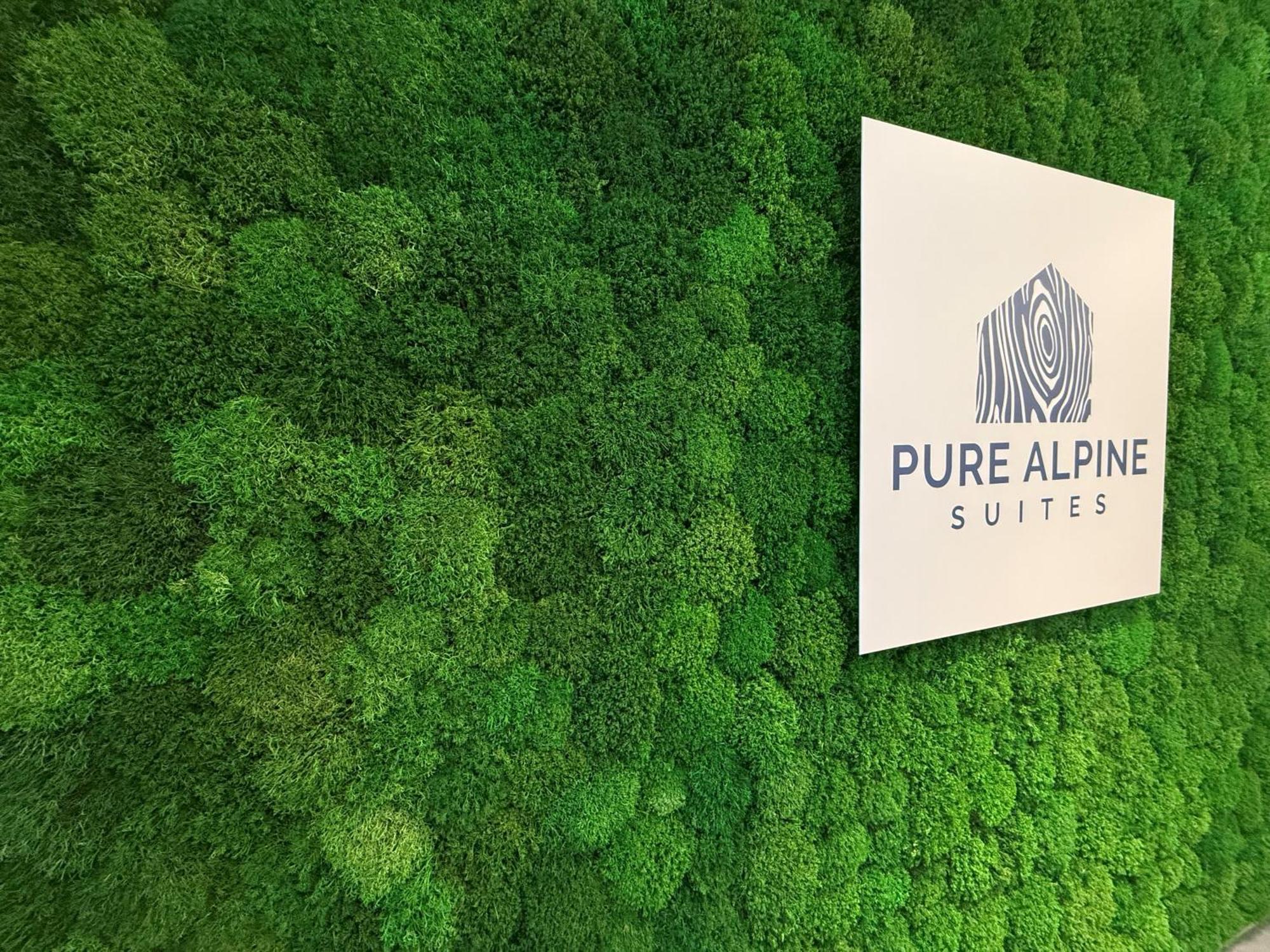 Pure Alpine Suites Schladming Dış mekan fotoğraf